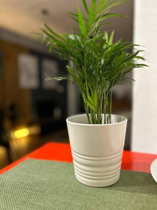 Loft Centro Santander Apartment Bagian luar foto